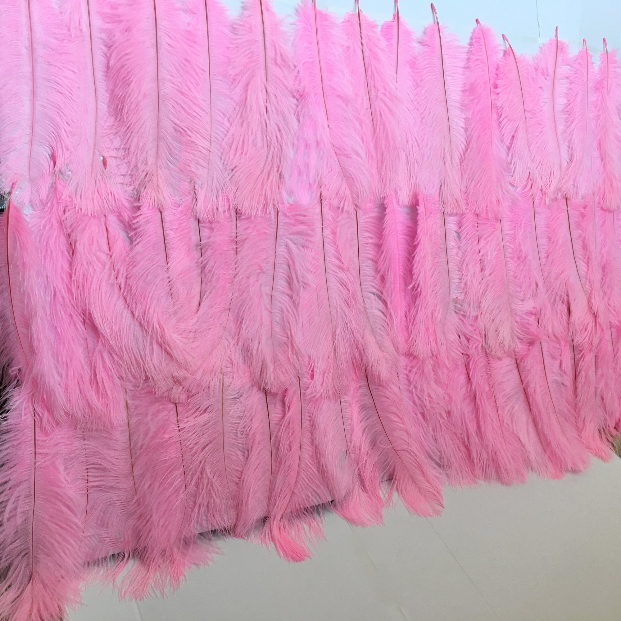 DIY298 : pink ostrich Feathers for Backdrop decor - Nirvanafourteen